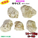 【送料無料】D 琉球石灰岩　洗浄済　中サイズ　14〜16kg(5〜7個)