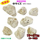 【送料無料】J琉球石灰岩洗浄済中サイズ19〜21kg(8〜10個)