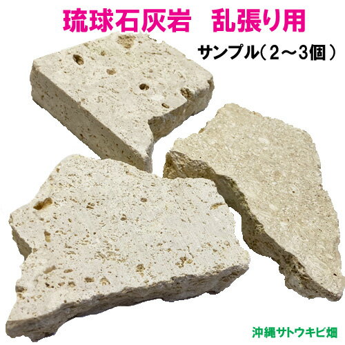 【送料無料】琉球石灰岩　乱張り用　サンプル　2～3個