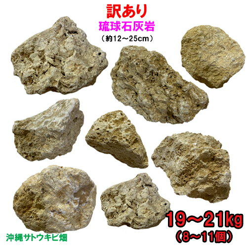 【送料無料】訳あり　琉球石灰岩　サイズミックス　19〜21kg(8〜11個)