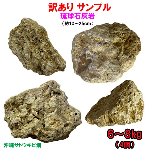 【送料無料】訳あり　琉球石灰岩　お試し　6〜8kg(4個)