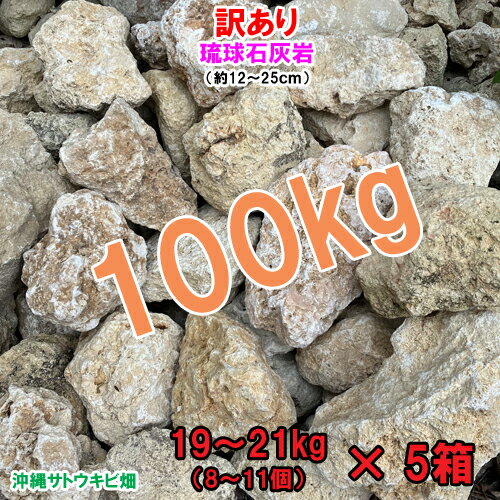 【送料無料】訳あり　琉球石灰岩　100kg
