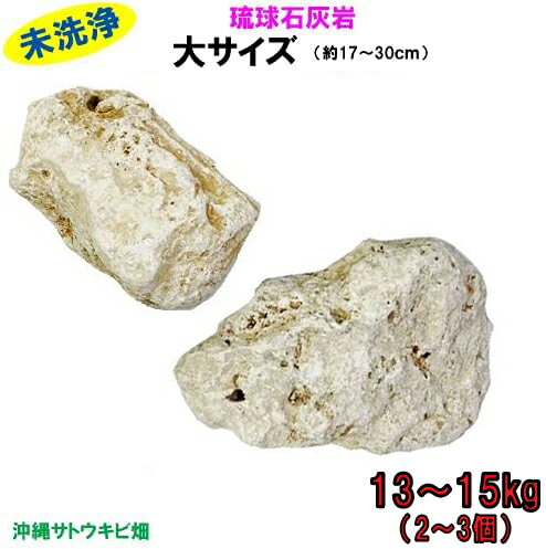 【送料無料】E 琉球石灰岩　未洗浄　大サイズ　13〜15kg(2〜3個)