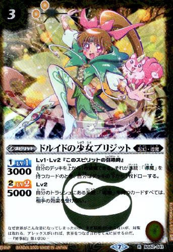 ����šۥɥ륤�ɤξ����֥ꥸ�åȡ�R�ۡ�BS52-041��/��