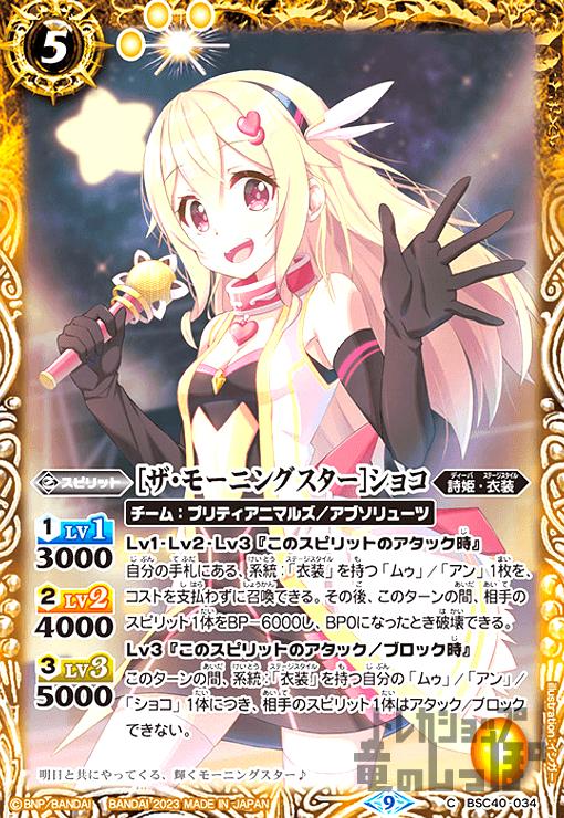 š[⡼˥󥰥]祳[9][C][BSC40-034]/