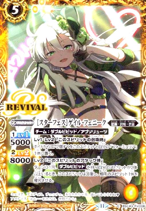 š[ե]롦եˡ(C)(BSC43-RV008)