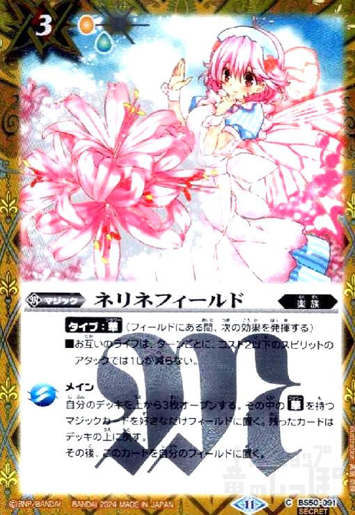 ����šۥͥ�ͥե������(C/SECRET)(BS50-091)(11)