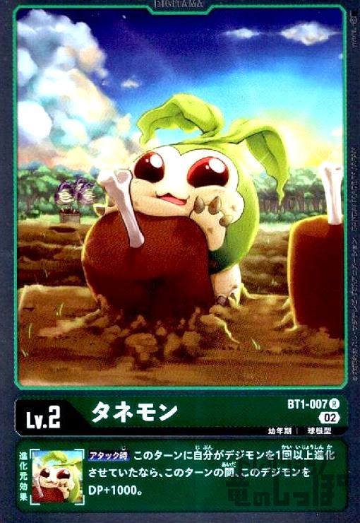 ����šۥ��ͥ���R���ۥ���ۡ�BT1-007��/��