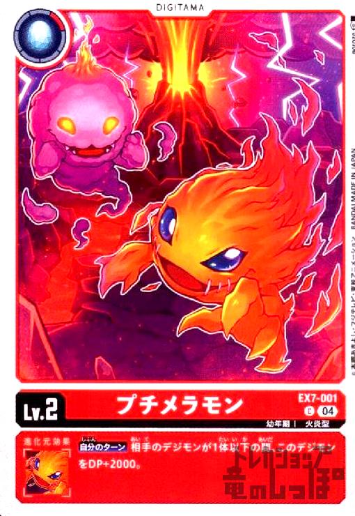 ����šۥץ������(C)(EX7-001)