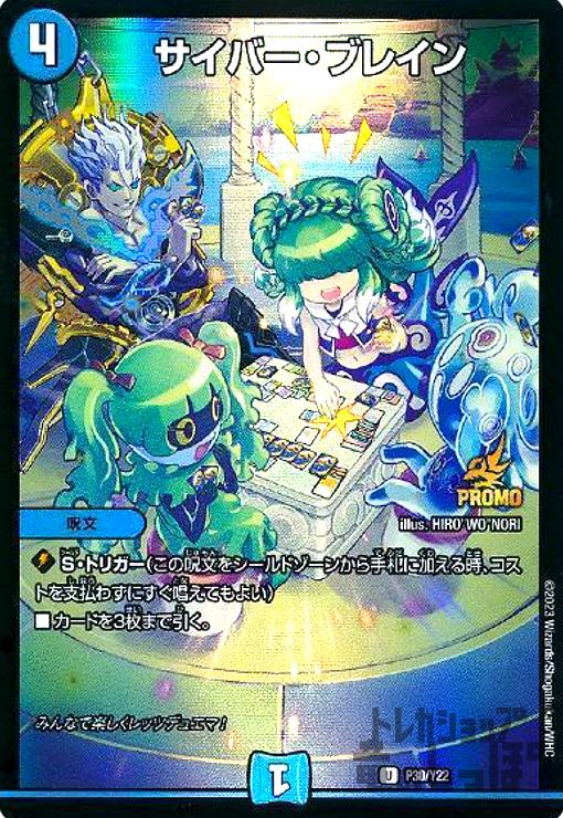 ����šۥ����С����֥쥤��(PR)(P30/Y22)/��