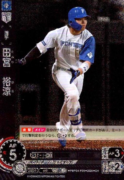 ȥ쥫åεΤäݤ㤨֡šĵ ͵(CH(PBP04-F09פβǤʤ30ߤˤʤޤ