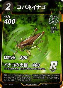 【中古】コバネイナゴ【R】【84・130】/緑