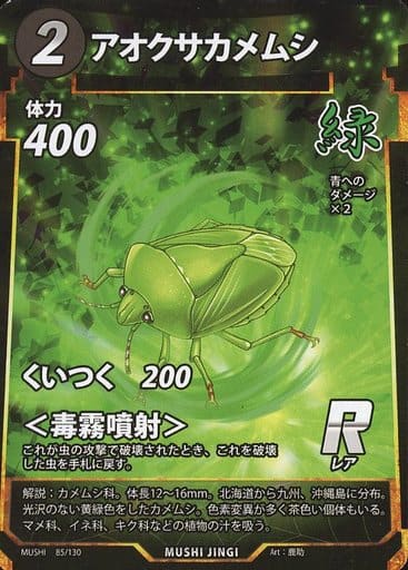 【中古】アオクサカメムシ【R】【85・130】/緑