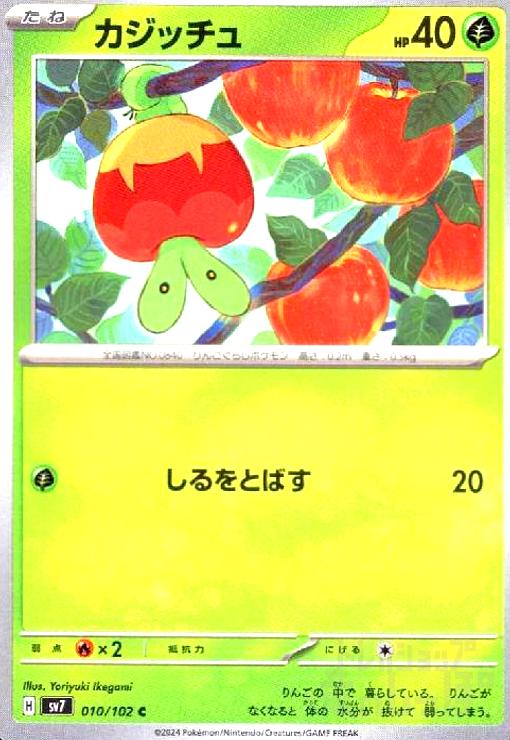 【中古】カジッチュ(しるととばす)