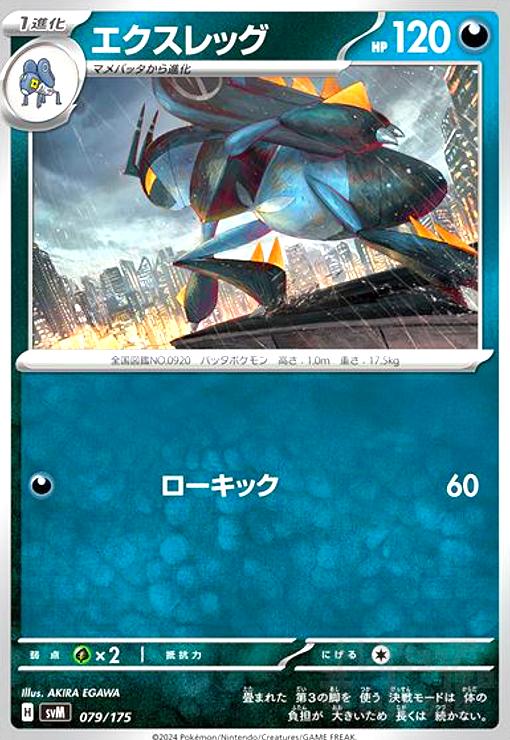 ����šۥ�������å�(�������å�)