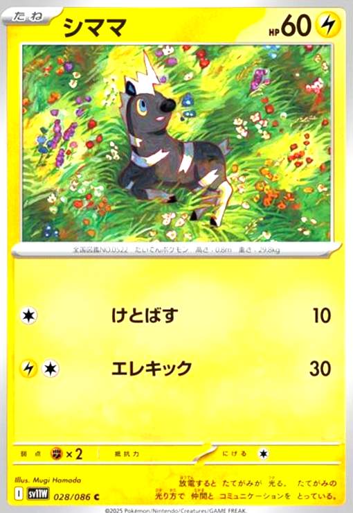 ȥ쥫åεΤäݤ㤨֡šۥޥ(ȤФ/쥭äפβǤʤ10ߤˤʤޤ