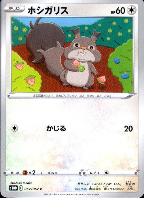 樂天商城 - 【中古】ホシガリス【かじる】/無