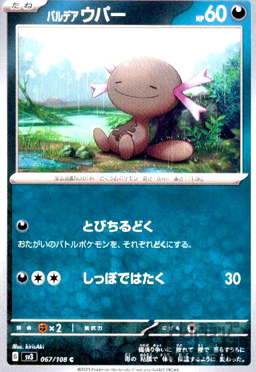 ����šۥѥ�ǥ����ѡ�(�ȤӤ���ɤ�/���äݤǤϤ���)/��