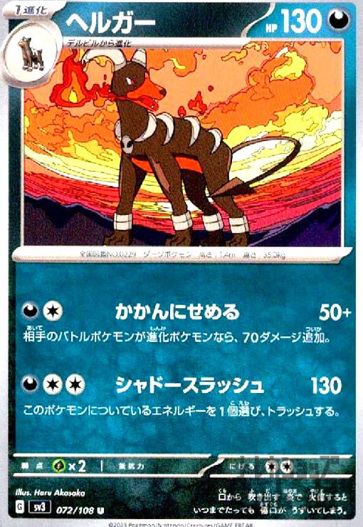 ����šۥإ륬��(������ˤ����/����ɡ�����å���)/��