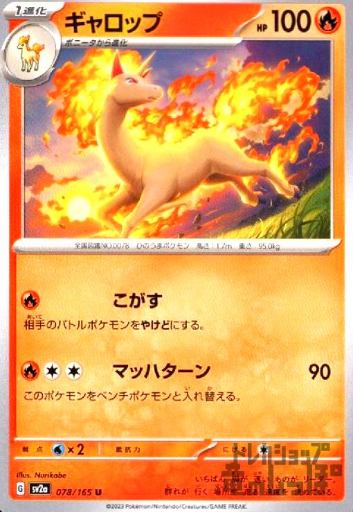 ����šۥ�����å�(������/�ޥåϥ�����)/��