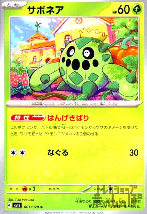 ����šۥ��ܥͥ�(�Ϥ󤲤��Ф�/�ʤ���)/��