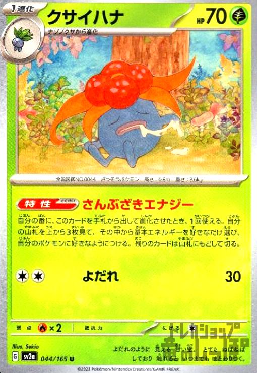 ����šۥ������ϥ�(����֤������ʥ���/�����)/��