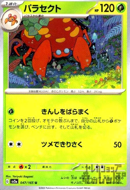 ȥ쥫åεΤäݤ㤨֡šۥѥ饻(󤷤Фޤ/ĥǤꤵ/פβǤʤ10ߤˤʤޤ