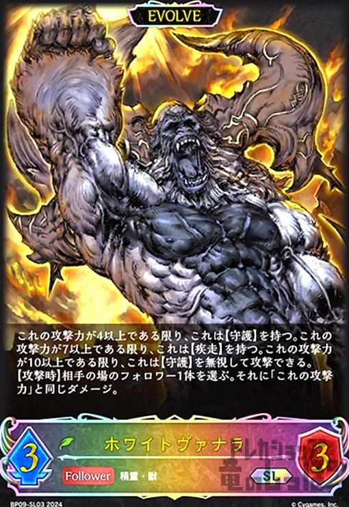 ȥ쥫åεΤäݤ㤨֡šۥۥ磻ȥʥ(SL(BP09-SL03(EVOLVEפβǤʤ50ߤˤʤޤ