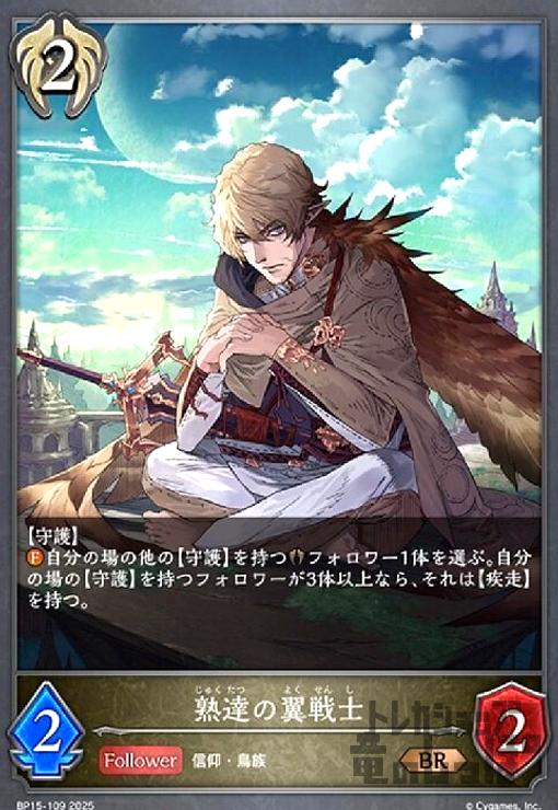 ȥ쥫åεΤäݤ㤨֡š۽ã(BR(BP15-109פβǤʤ20ߤˤʤޤ