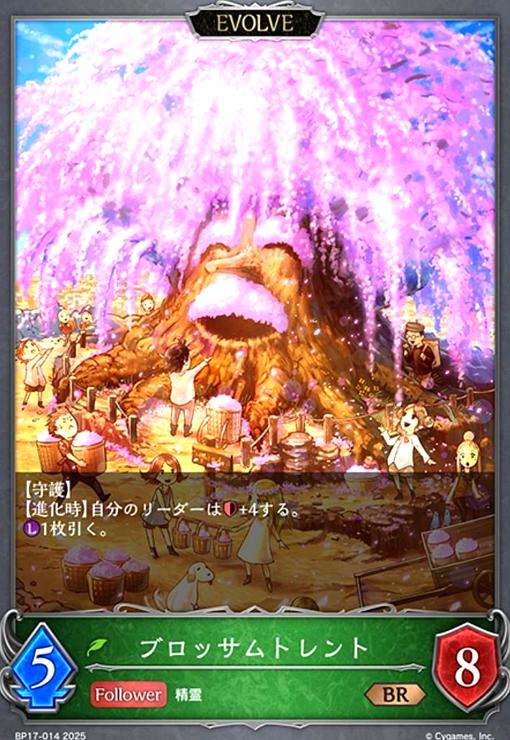 ȥ쥫åεΤäݤ㤨֡šۥ֥åȥ(BR(BP17-014(EVOLVEפβǤʤ10ߤˤʤޤ