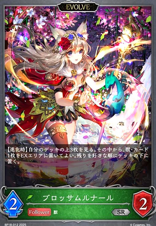 ȥ쥫åεΤäݤ㤨֡šۥ֥åʡ(EVOLVE(SR(BP18-012פβǤʤ10ߤˤʤޤ