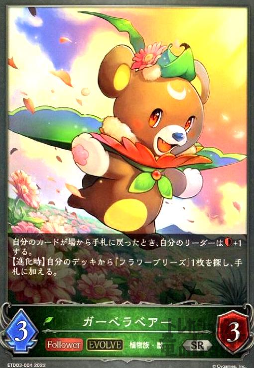 ����šۥ����٥�٥�����EVOLVE��/�����/����