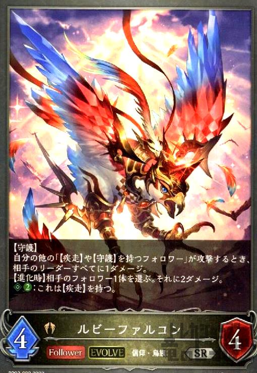 ȥ쥫åεΤäݤ㤨֡šۥӡե륳EVOLVE/ӥ/ۡפβǤʤ20ߤˤʤޤ