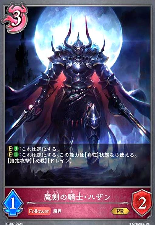 ����š�����ε��Ρ��ϥ���(PR)(PR-307)