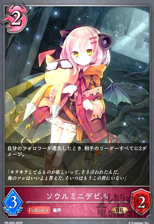 ����šۥ�����ߥ˥ǥӥ�(�ץ���)(PR-025)/�ʥ��ȥ�