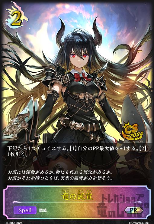 ����š�ε������(PR)(PR-209)/�ɥ饴��