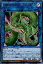 【中古】捕食植物ヴェルテアナコンダ【ウルトラ】/リン闇(D 【中古】捕食植物ヴェルテアナコンダ【ウルトラ】/リン闇(D