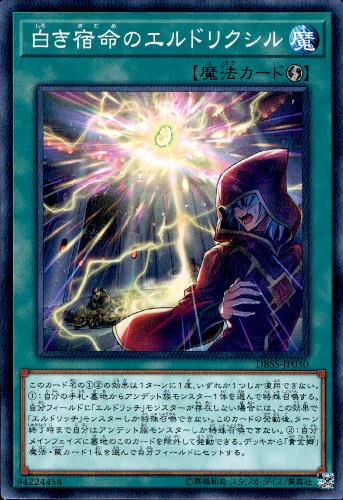 ȥ쥫åεΤäݤ㤨֡š򤭽̿ΥɥꥯڹN/107-8פβǤʤ20ߤˤʤޤ