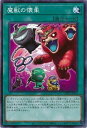 【中古】魔獣の懐柔【高価N】/魔2マ08-1 【中古】魔獣の懐柔【高価N】/魔2マ08-1