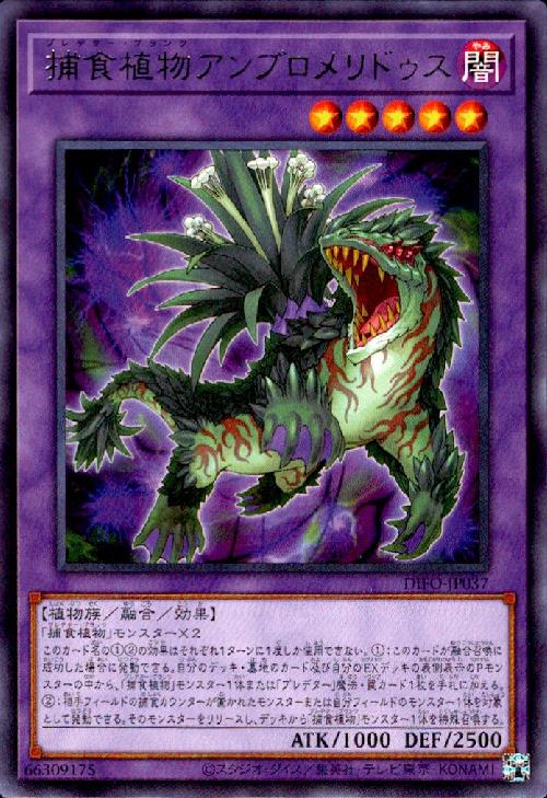 【中古】捕食植物アンブロメリドゥス【高価N】/新49-7EX
