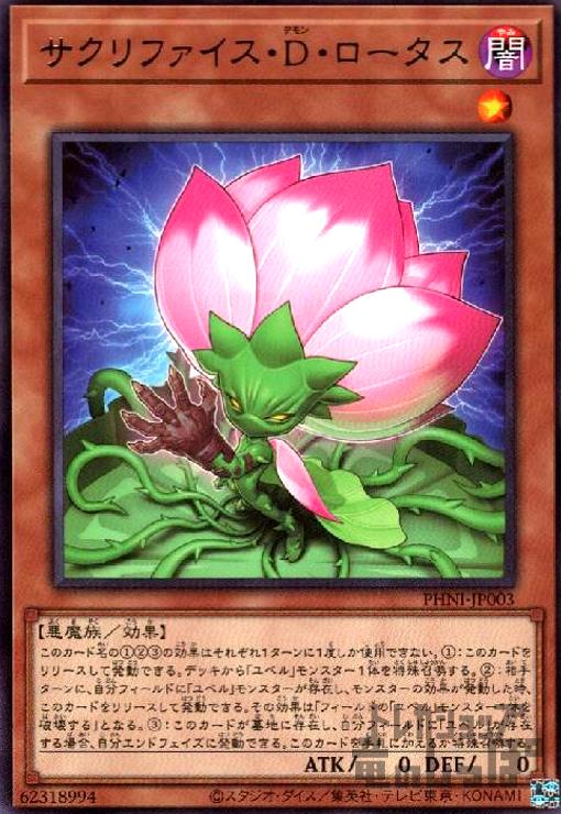 ȥ쥫åεΤäݤ㤨֡šۥեD/ǡפβǤʤ20ߤˤʤޤ