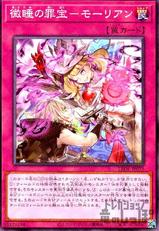 ȥ쥫åεΤäݤ㤨֡šκ?⡼ꥢ/30-8櫡פβǤʤ20ߤˤʤޤ