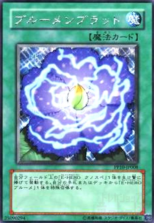 ����šۥ֥롼���֥�å�(��������å�)