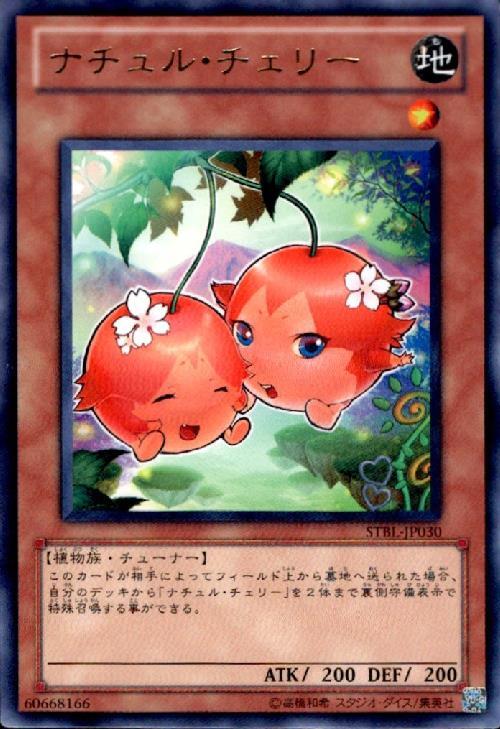 ȥ쥫åεΤäݤ㤨֡šۥʥ꡼(NפβǤʤ20ߤˤʤޤ