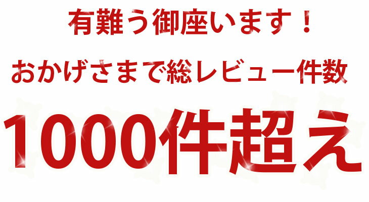 総レビュー件数1000件超え！黄金干し芋2パック【送料無料】国産干し芋　国産干し芋送料無料　国産干しいも　ほし芋　干し芋1000円送料無料　干し芋無添加　紅はるか干し芋　ねっとり干し芋　干しいも　サンアグリフーズ干し芋