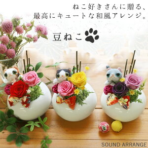 プリザーブドフラワー ギフト 花 猫 ギフト フラワーギフト 送料無料 誕生日プレゼント 退職祝い 送別 女性 和風 花 ネコ ねこ ぬいぐるみ プリザ 誕生日 バレンタインデー プレゼント 母親 長寿祝 開店祝い お見舞い 快気祝 ブリザードフラワ- 豆ねこ PAN