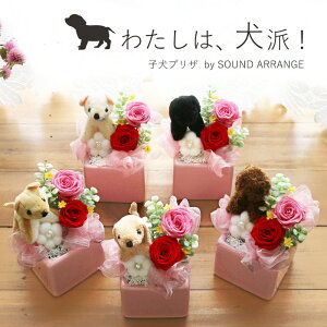 誕生日 ホワイトデー プレゼント 花 犬 送料無料 ぬいぐるみ 誕生日プレゼント 入学祝い 卒業祝い 退職祝い 送別 結婚祝い 女性 プリザ お誕生日 内祝い お礼 開店祝い お見舞い 快気祝 プリザーブドフラワー お祝い ブリザードフラワ- 子犬プリザ PAN