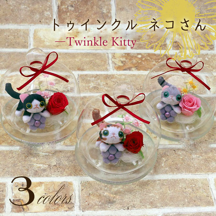 プリザーブドフラワー 退職祝い 送別 誕生日プレゼント 女性 ギフト バレンタインデー プレゼント 母親 花 ドーム プレゼント 花 ネコ 猫 ねこ ぬいぐるみ プレゼント プリザ 誕生日 開店祝い お見舞い 快気祝 両親 花 結婚祝い ガラス ドーム PA格安通販　バレンタイン　人気　ランキング