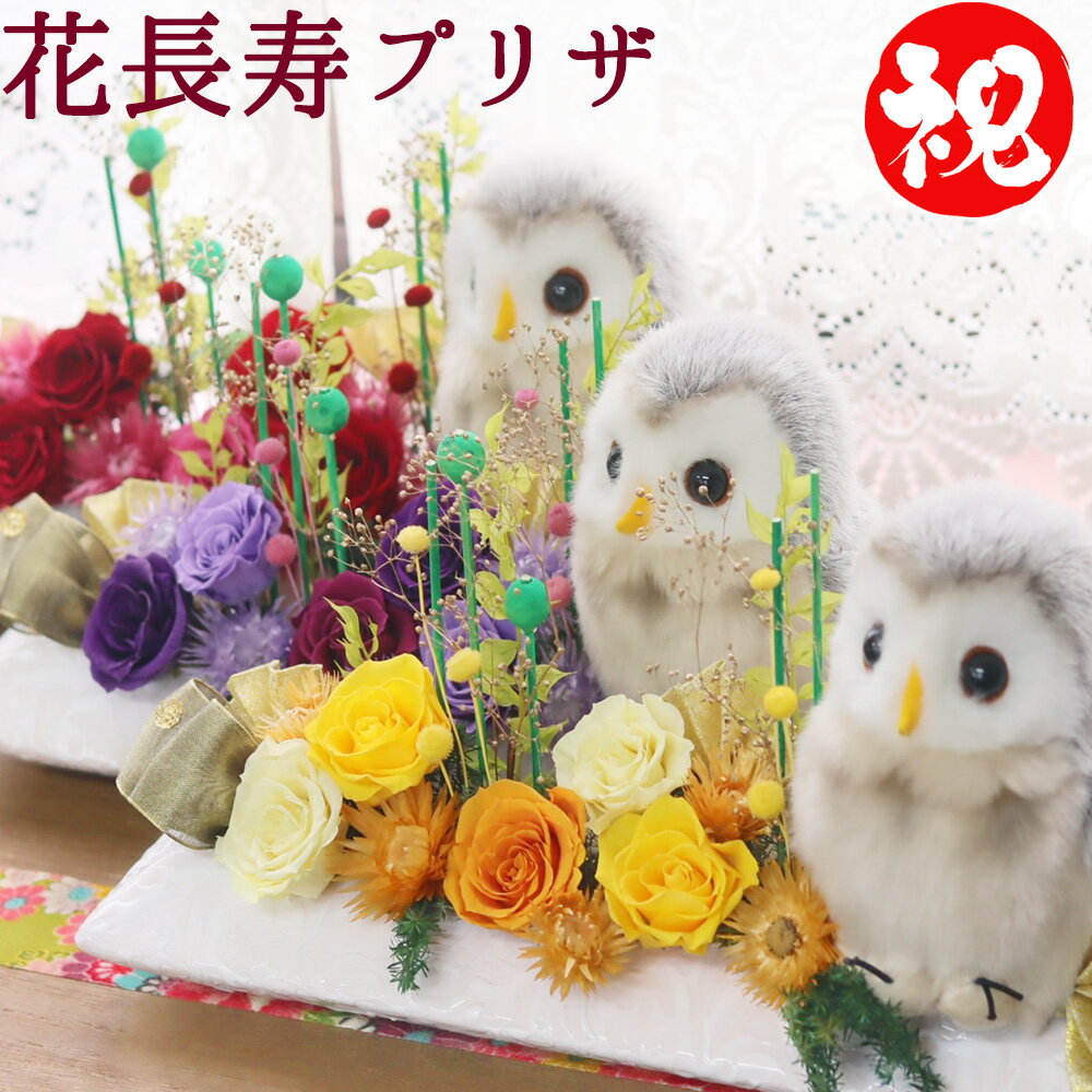 ポイント10倍 プリザーブドフラワー 母の日 ブリザードフラワ- ギフト 花 プレゼント 古希祝い 喜寿祝い 米寿祝い 卒寿のお祝い 誕生日 退職祝い 定年 米寿 ふくろう 女性 男性 古希 紫 喜寿 傘寿 白寿 百寿 母親 祖父 祖母 おばあちゃん おじいちゃん 花長寿のサムネイル