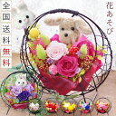 翌日配達 かわいい プードル 犬 うさぎ プリザーブドフラワー 花 プレゼント 誕生日 ギフト 孫から 孫 ブリザードフラワ- お祝い バラ 和風 送別会 退職祝い 定年 長寿のお祝い 還暦 古希 喜寿 傘寿 米寿 卒寿 お礼 花あそび